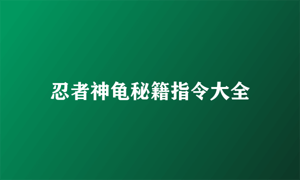 忍者神龟秘籍指令大全