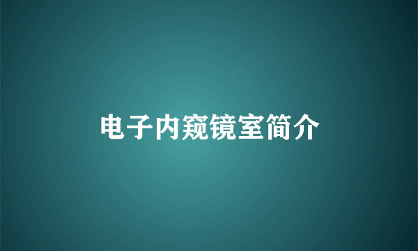 电子内窥镜室简介