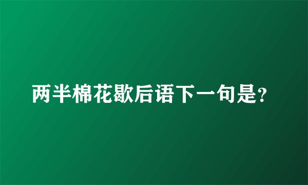 两半棉花歇后语下一句是？