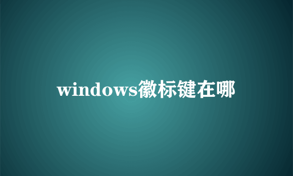 windows徽标键在哪