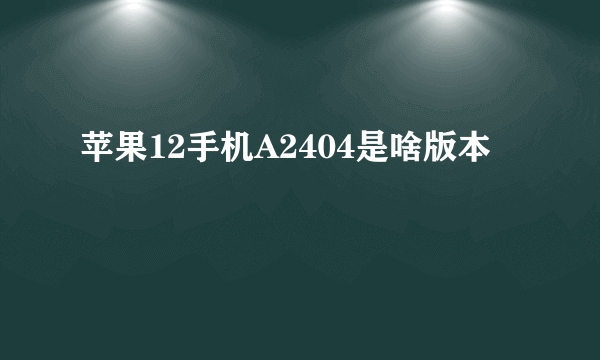 苹果12手机A2404是啥版本