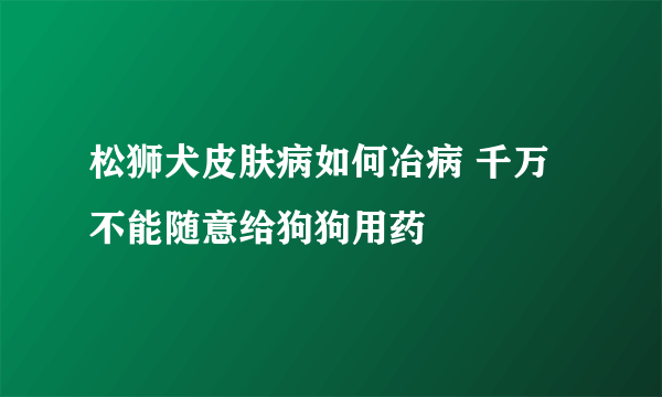 松狮犬皮肤病如何冶病 千万不能随意给狗狗用药