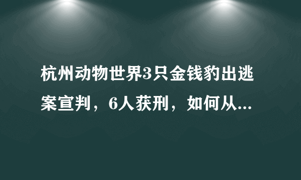 杭州动物世界3只金钱豹出逃案宣判，6人获刑，如何从法律角度解读此案？