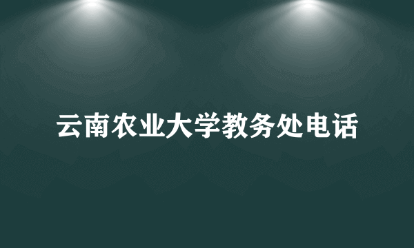 云南农业大学教务处电话