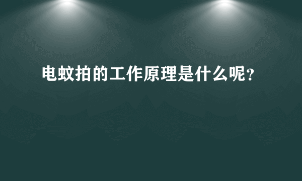 电蚊拍的工作原理是什么呢？