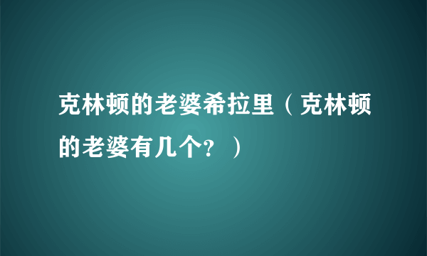 克林顿的老婆希拉里（克林顿的老婆有几个？）