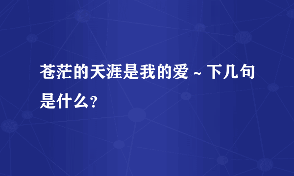 苍茫的天涯是我的爱～下几句是什么？