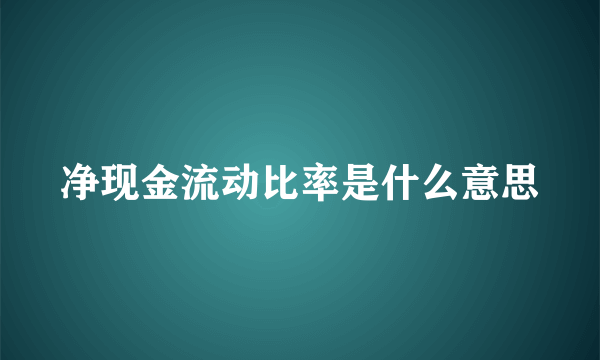 净现金流动比率是什么意思