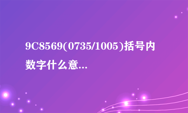 9C8569(0735/1005)括号内数字什么意思？是代表时间吗？