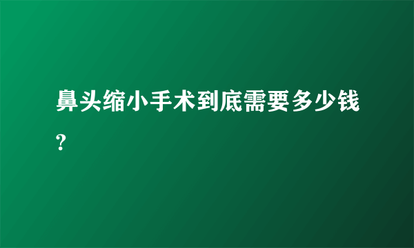 鼻头缩小手术到底需要多少钱?