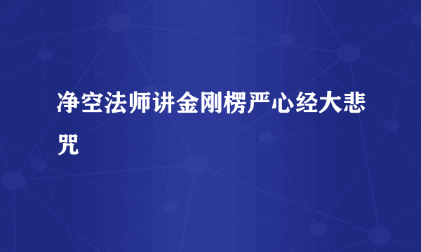 净空法师讲金刚楞严心经大悲咒