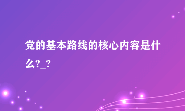 党的基本路线的核心内容是什么?_?