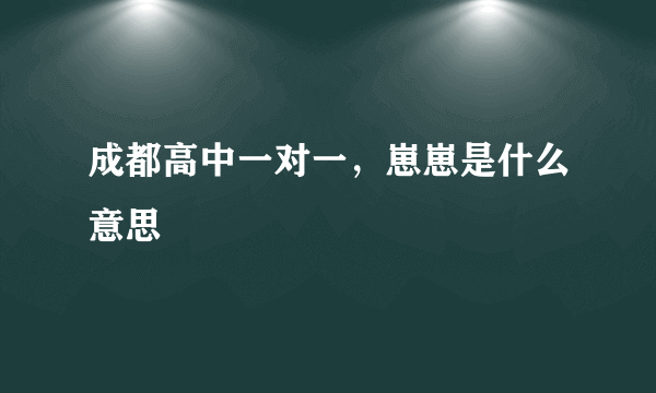 成都高中一对一，崽崽是什么意思