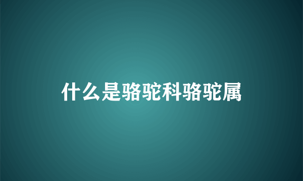 什么是骆驼科骆驼属