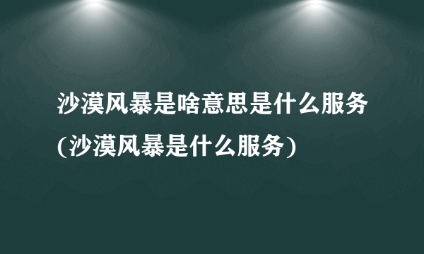 沙漠风暴是啥意思是什么服务(沙漠风暴是什么服务)