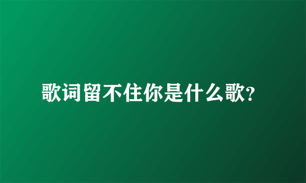 歌词留不住你是什么歌？