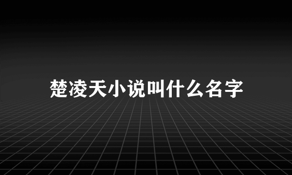 楚凌天小说叫什么名字