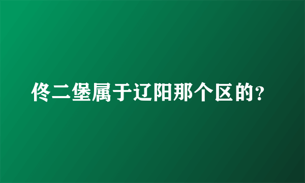 佟二堡属于辽阳那个区的？