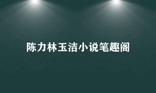 陈力林玉洁小说笔趣阁