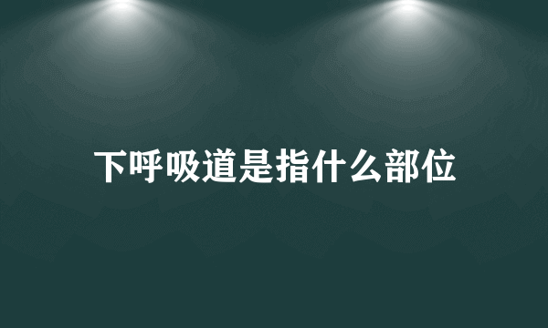 下呼吸道是指什么部位