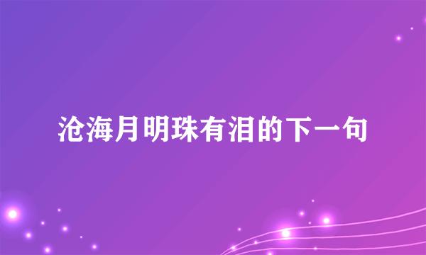 沧海月明珠有泪的下一句