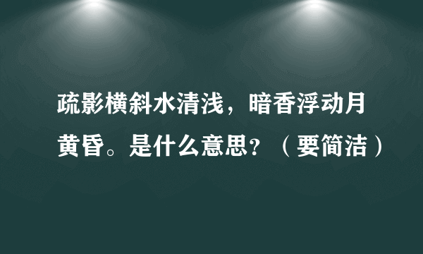 疏影横斜水清浅，暗香浮动月黄昏。是什么意思？（要简洁）