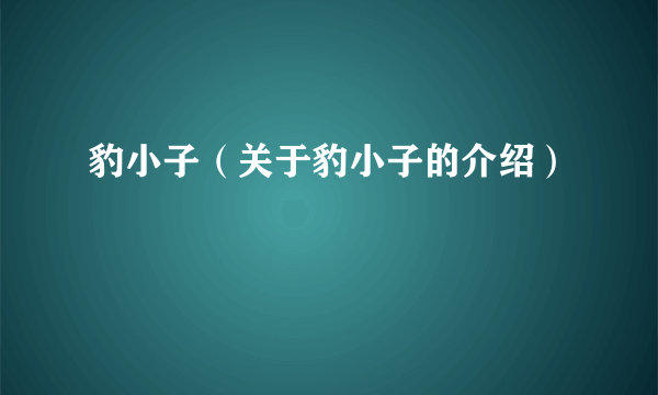 豹小子（关于豹小子的介绍）