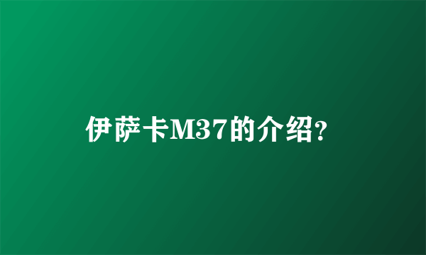 伊萨卡M37的介绍？