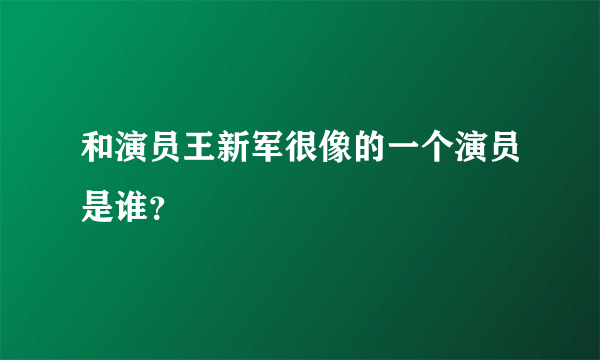 和演员王新军很像的一个演员是谁？