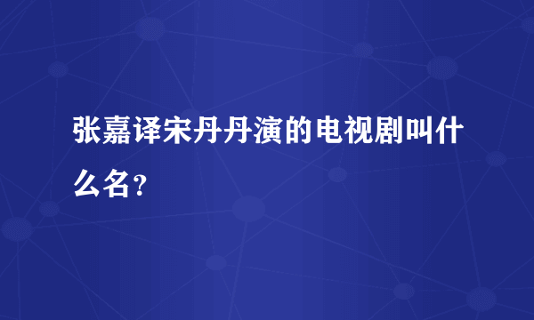 张嘉译宋丹丹演的电视剧叫什么名？