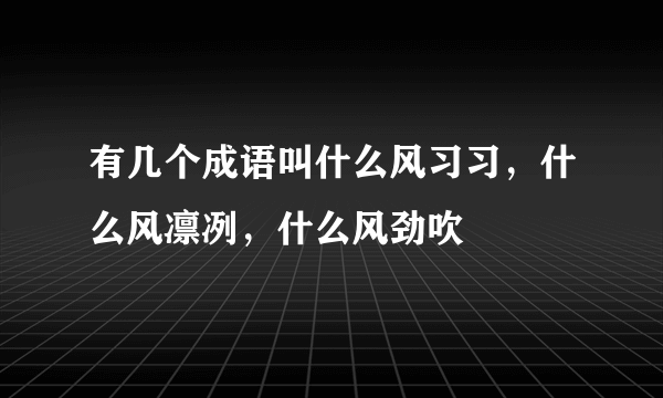 有几个成语叫什么风习习，什么风凛冽，什么风劲吹