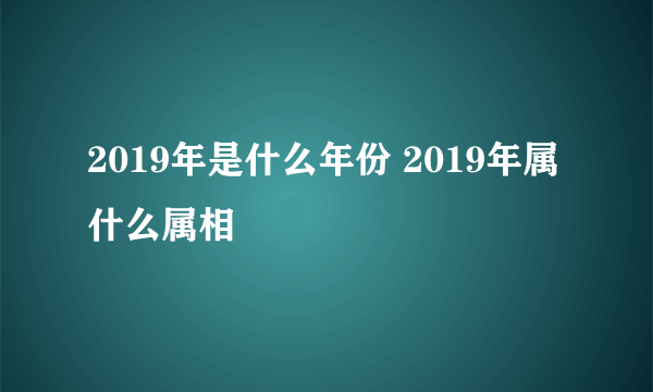 2019年是什么年份 2019年属什么属相