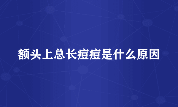 额头上总长痘痘是什么原因