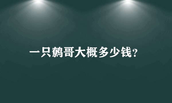 一只鹩哥大概多少钱？