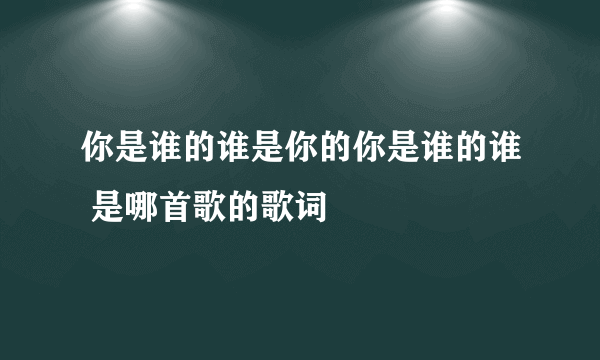 你是谁的谁是你的你是谁的谁 是哪首歌的歌词