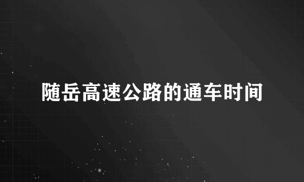 随岳高速公路的通车时间