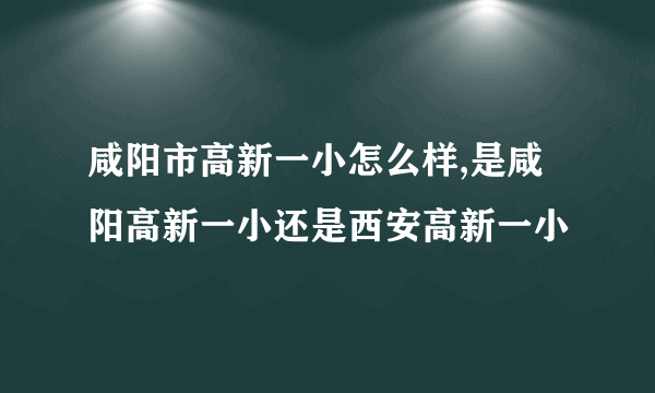 咸阳市高新一小怎么样,是咸阳高新一小还是西安高新一小