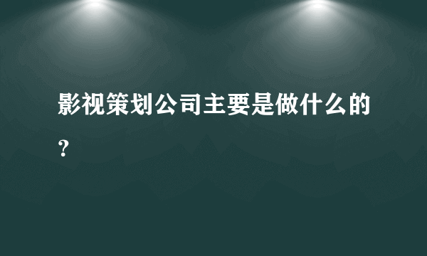 影视策划公司主要是做什么的？