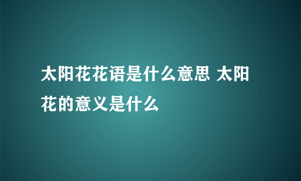 太阳花花语是什么意思 太阳花的意义是什么