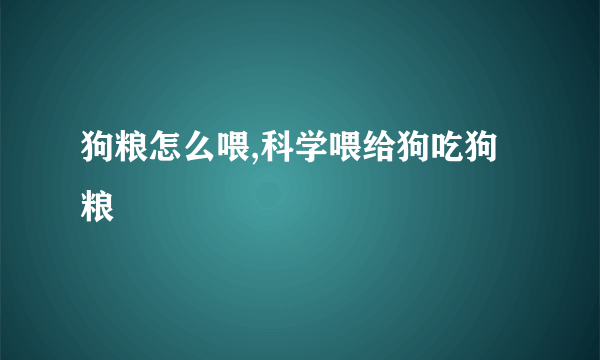 狗粮怎么喂,科学喂给狗吃狗粮