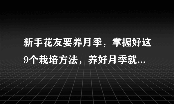 新手花友要养月季，掌握好这9个栽培方法，养好月季就没有问题