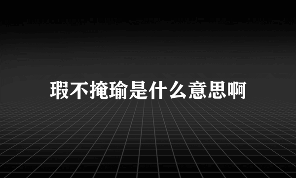 瑕不掩瑜是什么意思啊