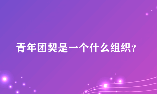 青年团契是一个什么组织？