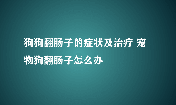 狗狗翻肠子的症状及治疗 宠物狗翻肠子怎么办