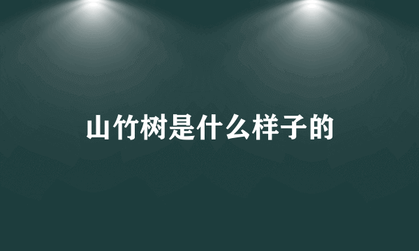 山竹树是什么样子的