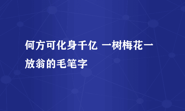 何方可化身千亿 一树梅花一放翁的毛笔字