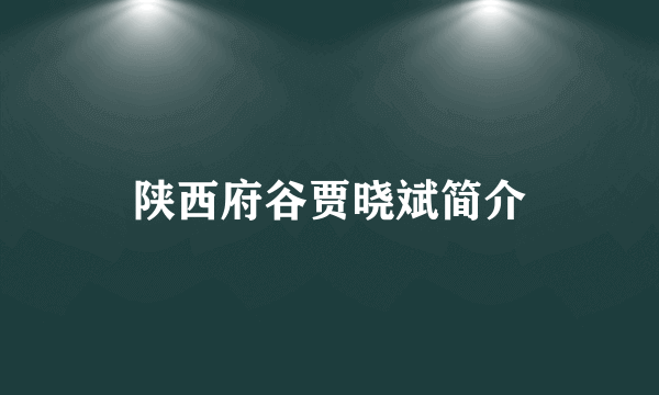 陕西府谷贾晓斌简介