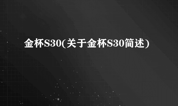 金杯S30(关于金杯S30简述)