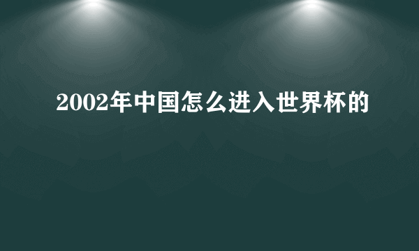 2002年中国怎么进入世界杯的