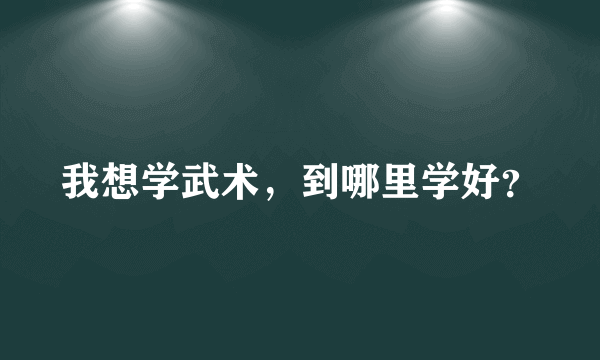 我想学武术，到哪里学好？